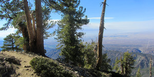 Baden Powell Ridge