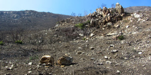Ray Miller Trail, dirt dust & burn