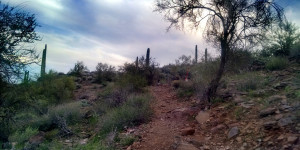 trail near dusk