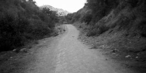 Griffith Park Trail