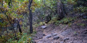 Embudito Trail