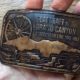 Stagecoach 100 Buckle