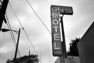 Olive Motel